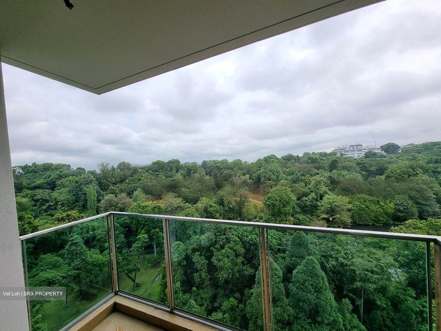 Normanton Park (D5), Apartment #481902731